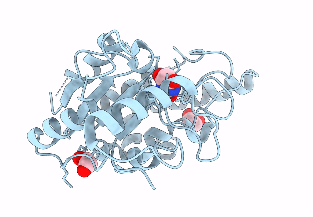 8I63 image