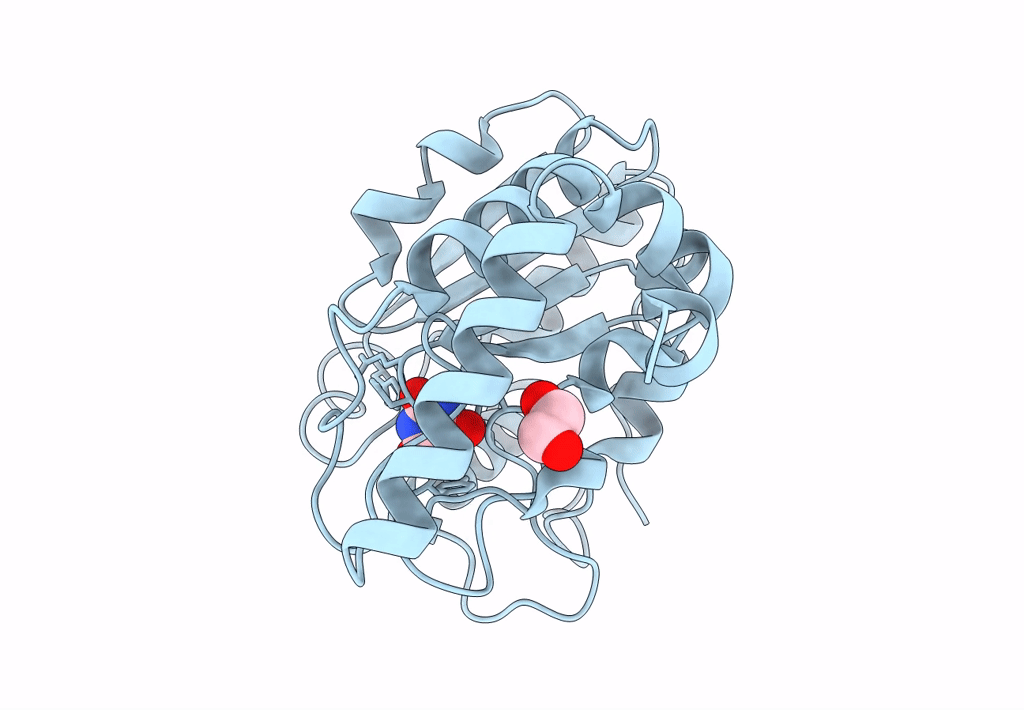 8I64 image
