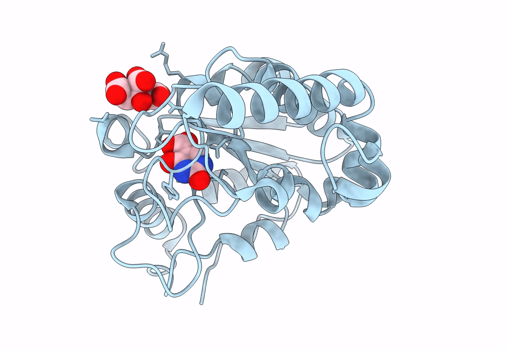 8I66 image