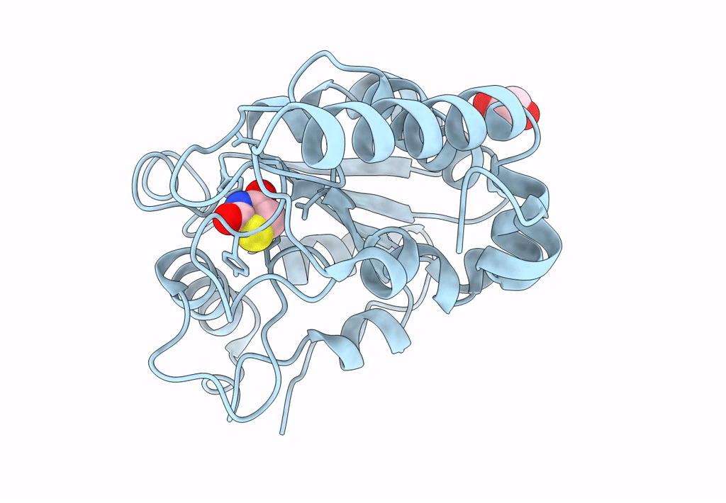 8I67 image