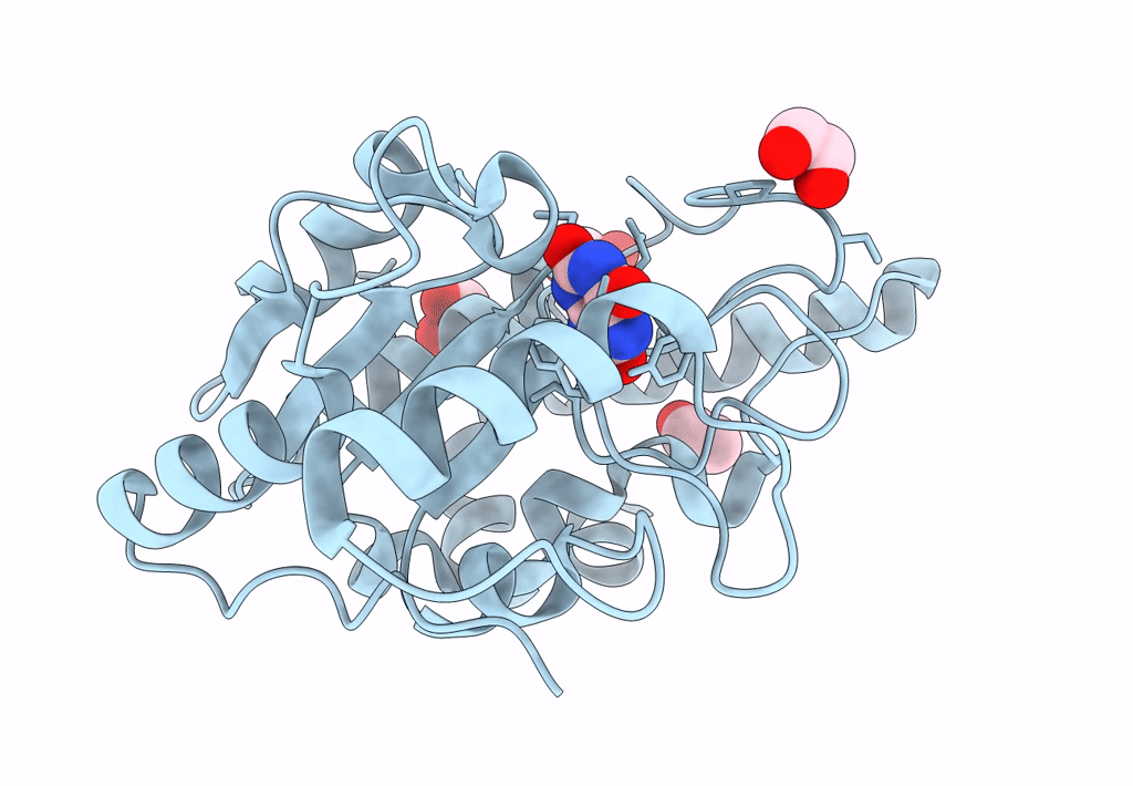 8I68 image