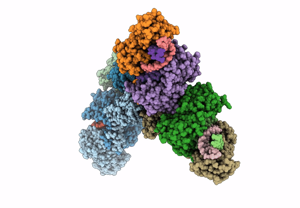 8I87 image