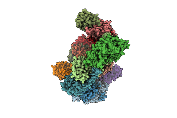 8I8B image