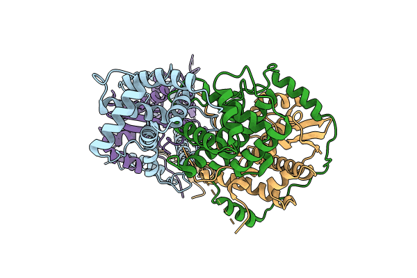 8I8C image