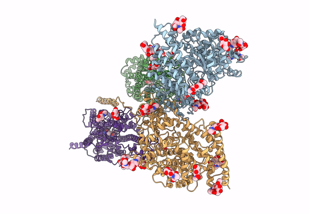 8I92 image