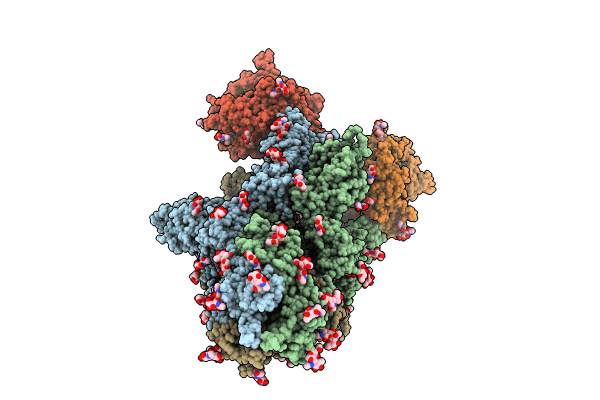 8I9B image