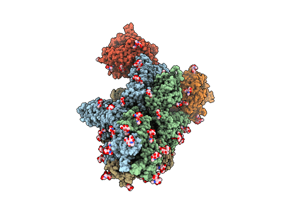 8I9C image