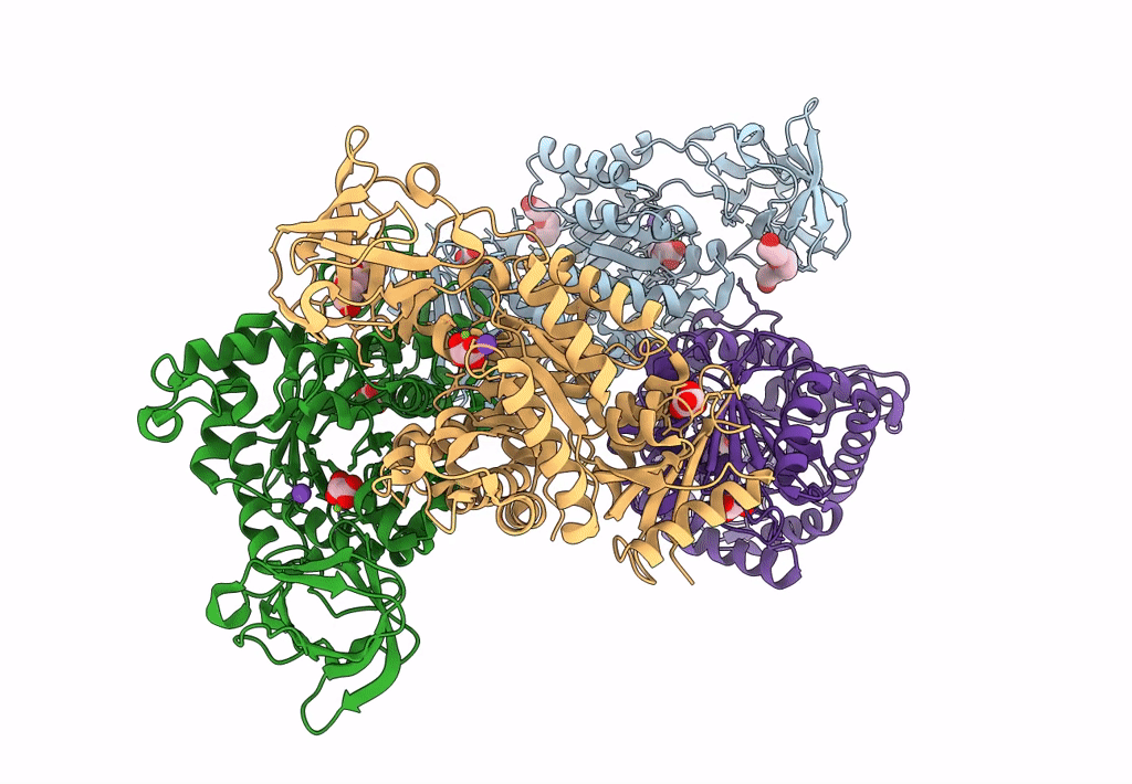 8IAT image