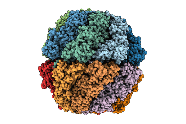 8IB8 image