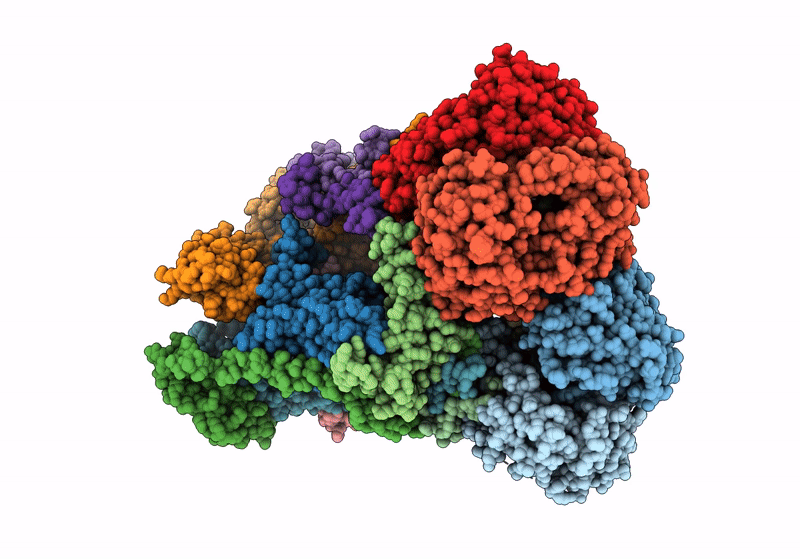 8IBC image