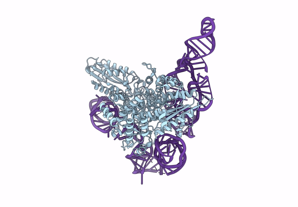 8IBY image
