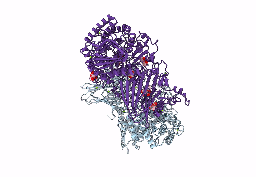 8IC7 image