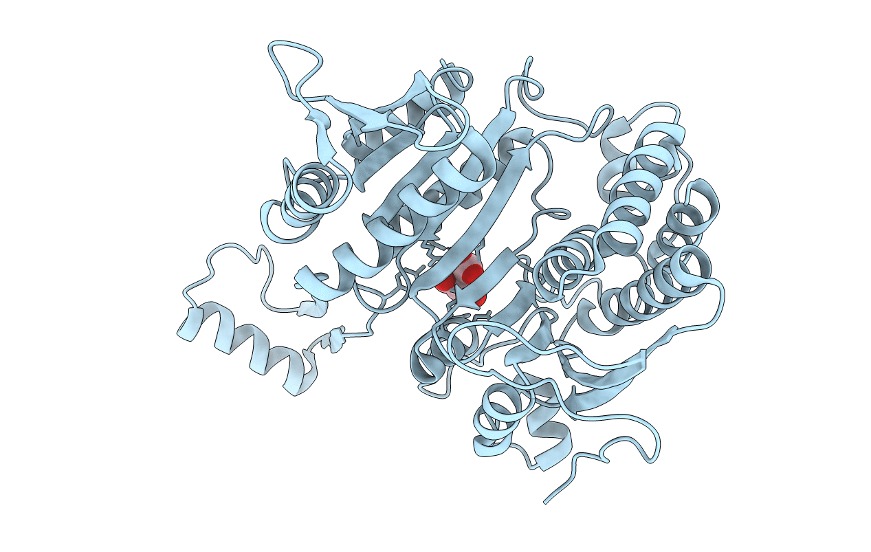 8ICD image