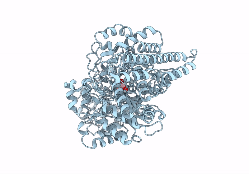 8ID1 image