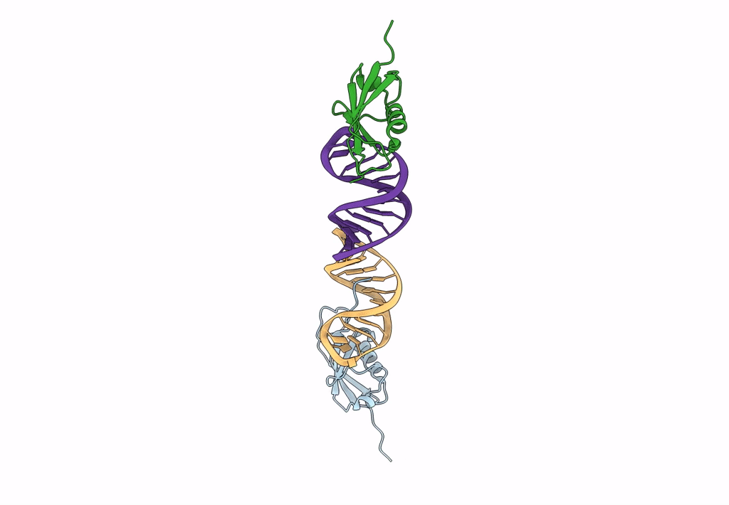 8ID2 image