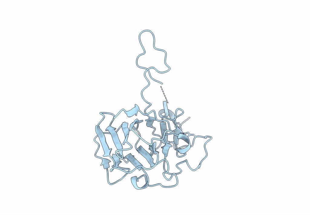 8IGT image
