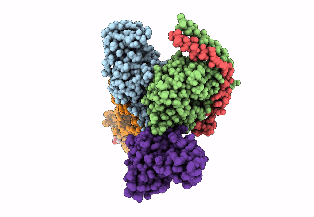 8IHI image