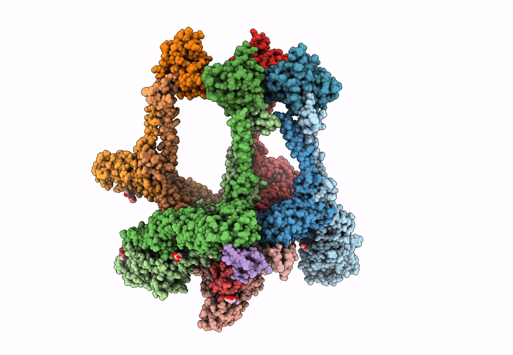 8IHP image