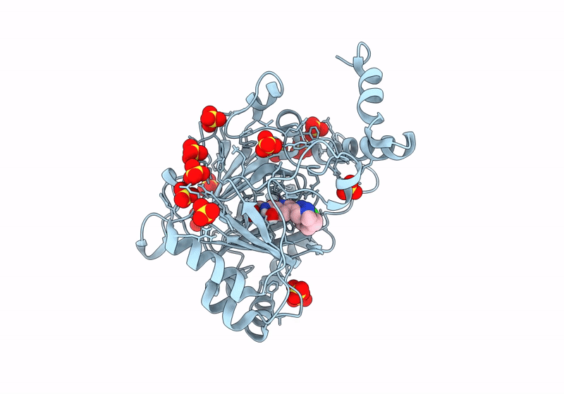 8IHZ image