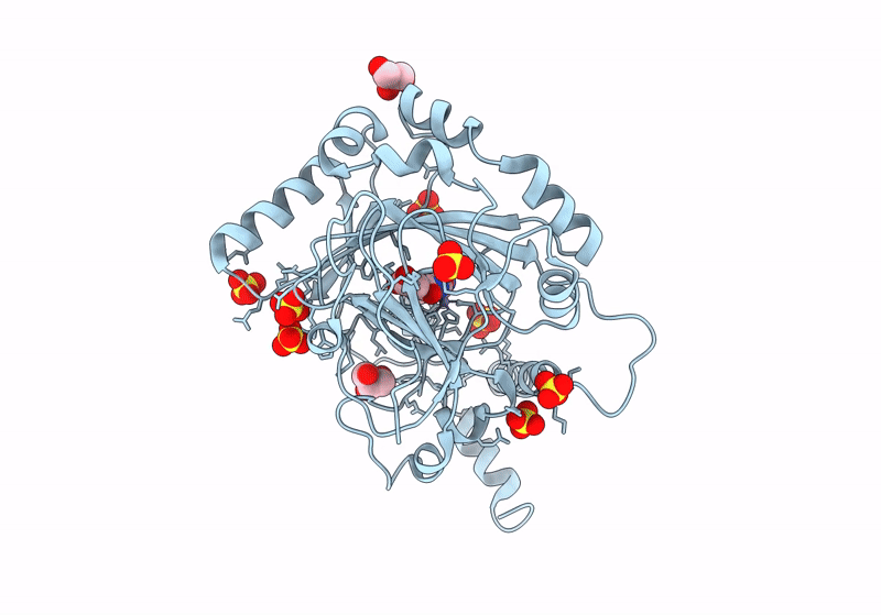 8II0 image