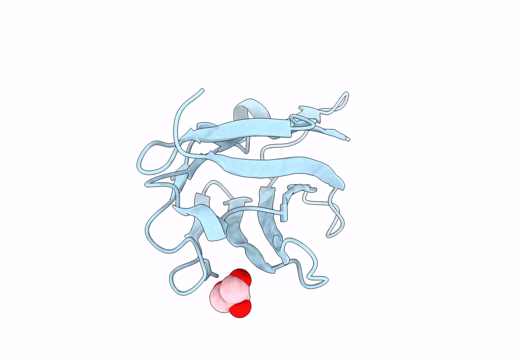 8IIA image