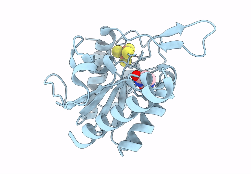 8IIG image