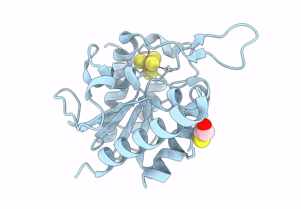 8IIM image
