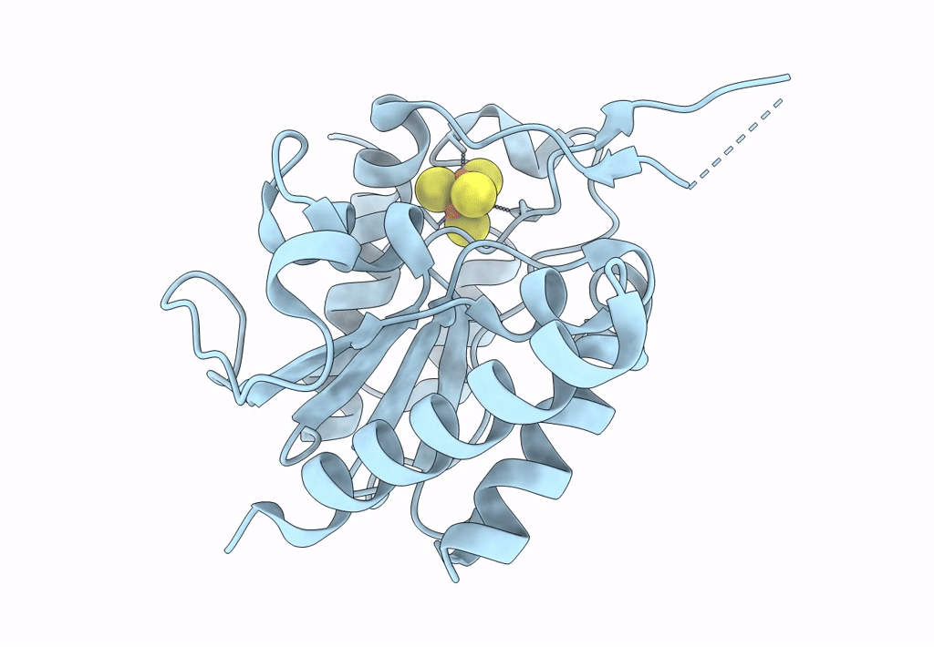 8IIQ image