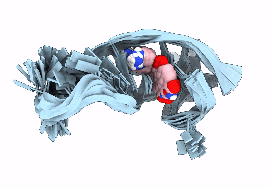 8IJC image