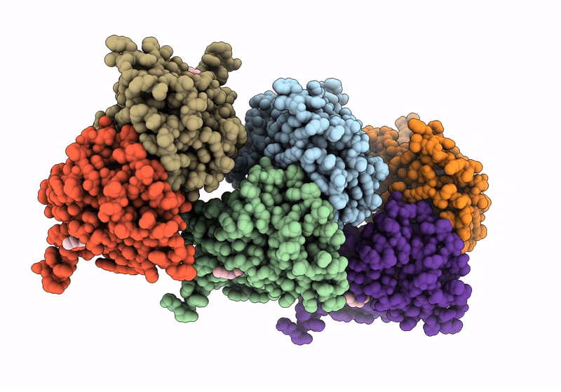 8IJR image