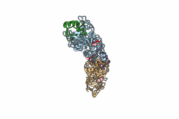 8IKV image