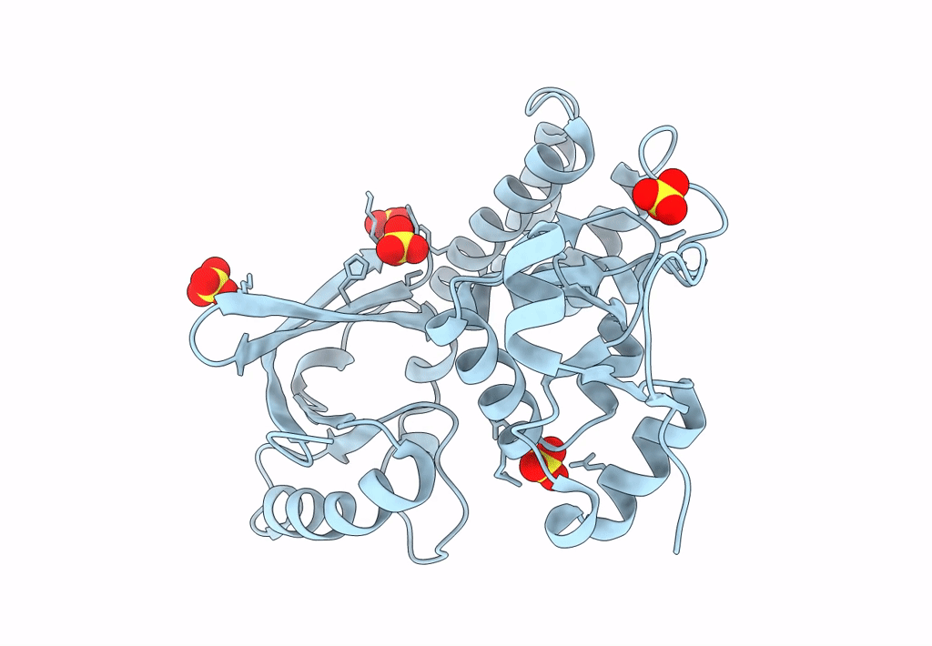 8ILC image