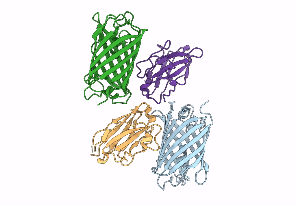 8ILX image