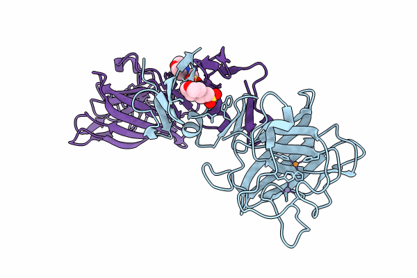 8IMD image