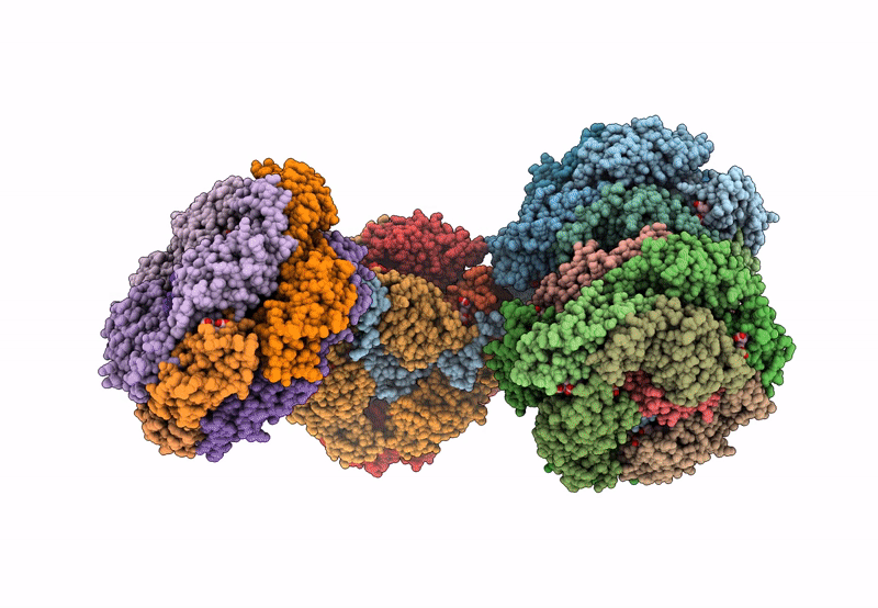 8IMI image