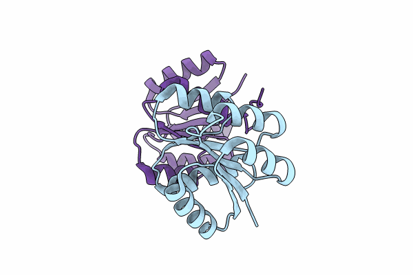 8IMW image
