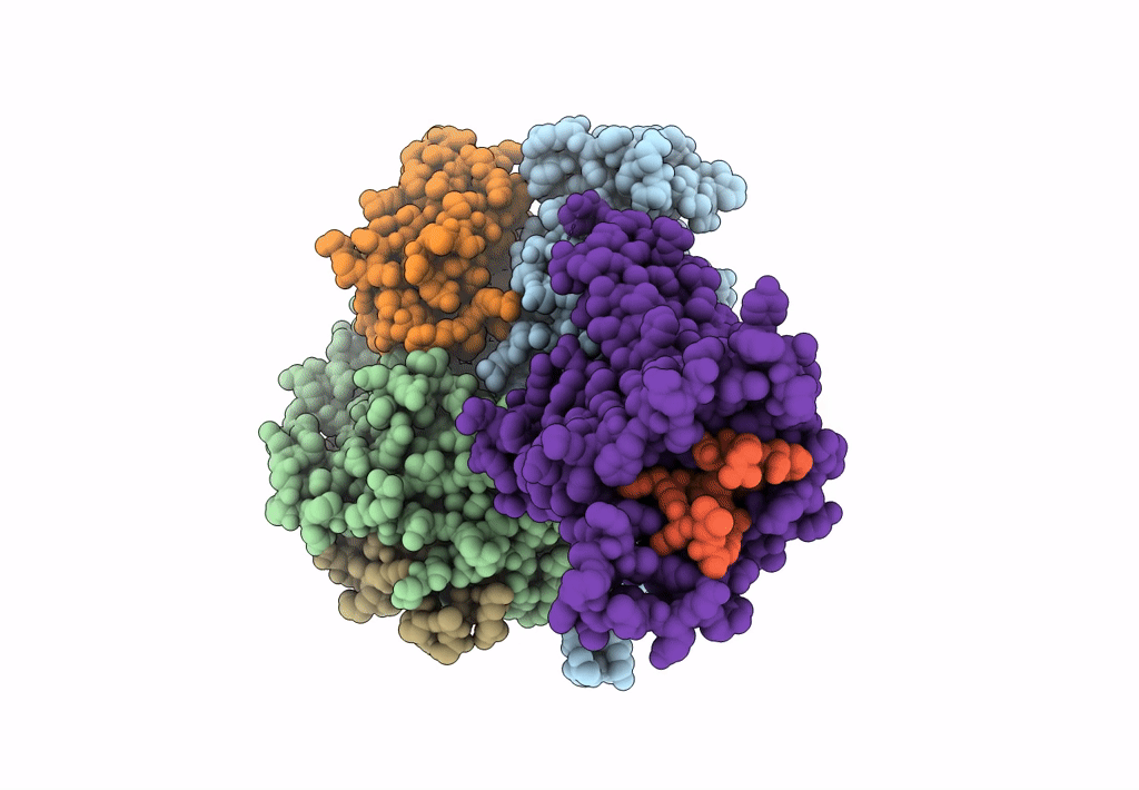 8IOC image