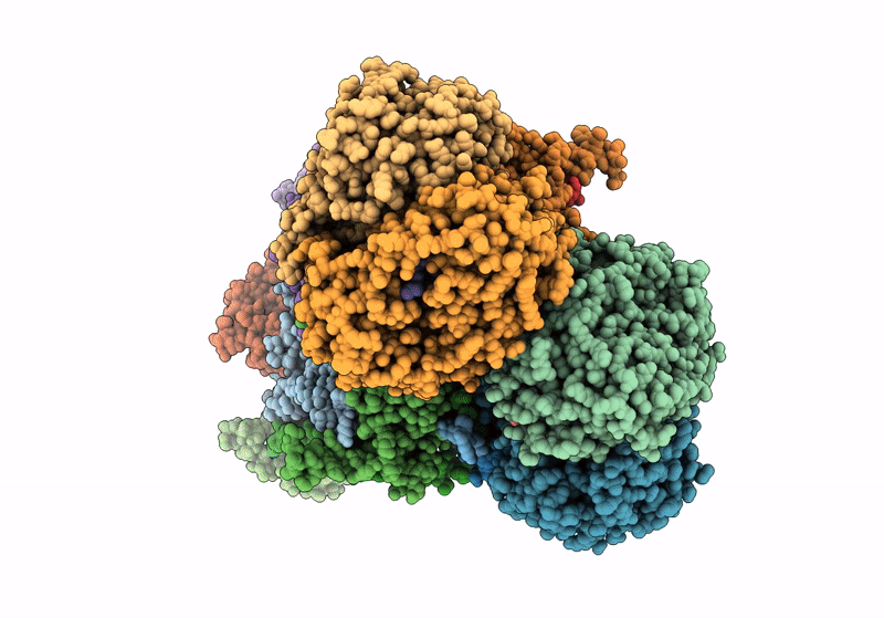 8IOG image