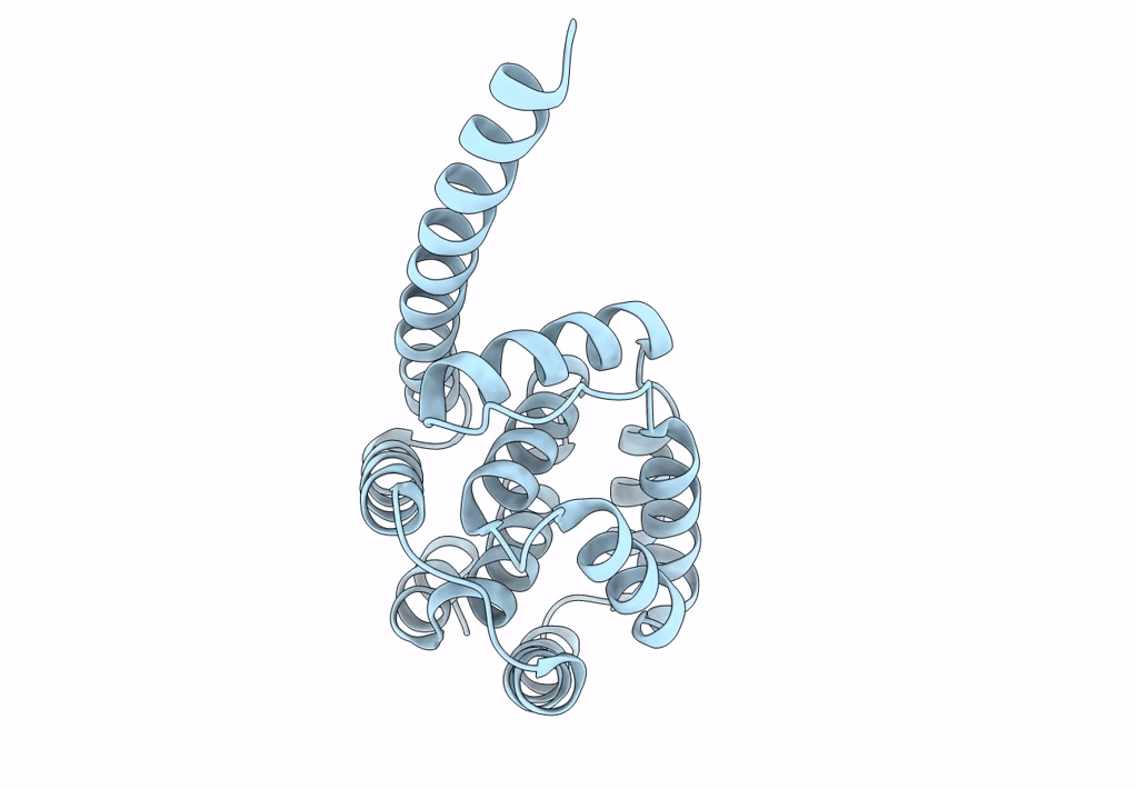 8IOM image