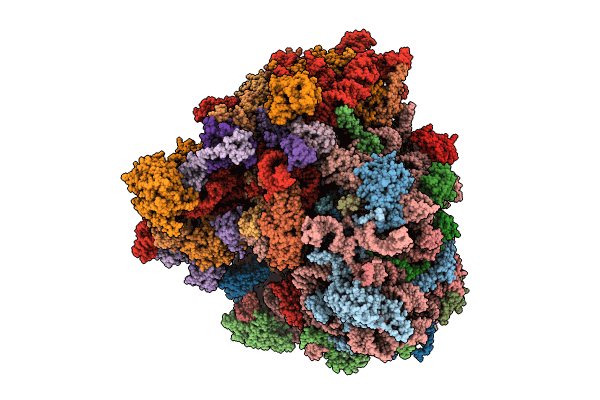 8IPB image