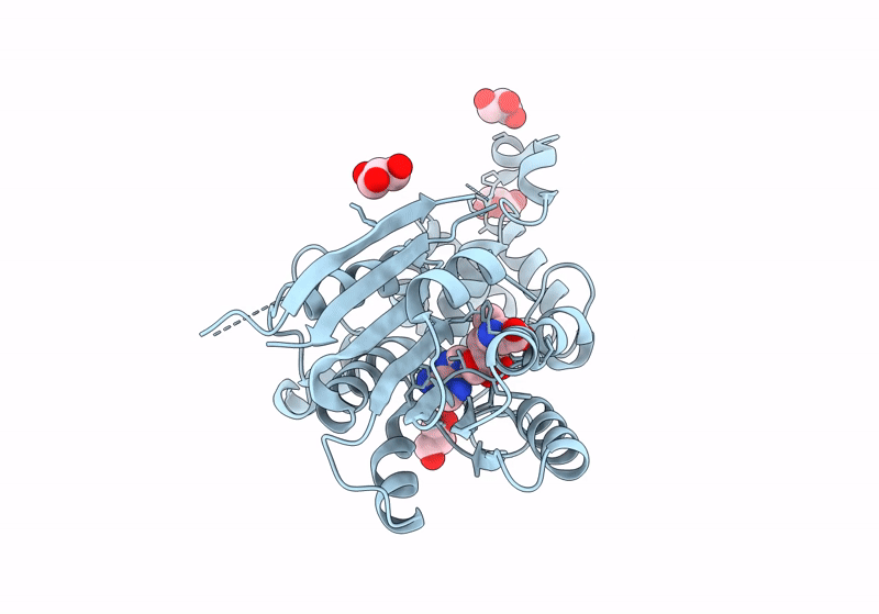 8IPK image