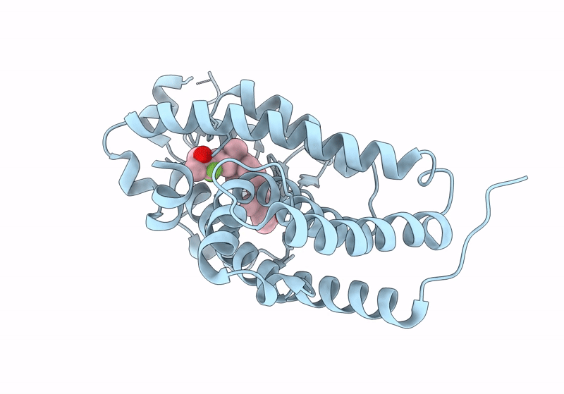 8IQN image