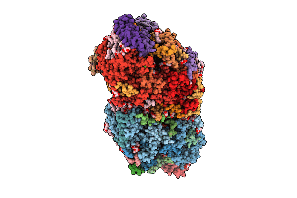 8IRG image
