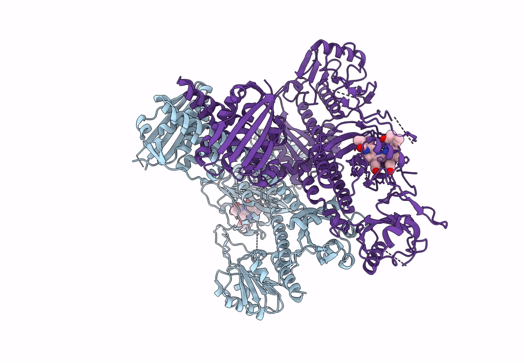 8ISJ image