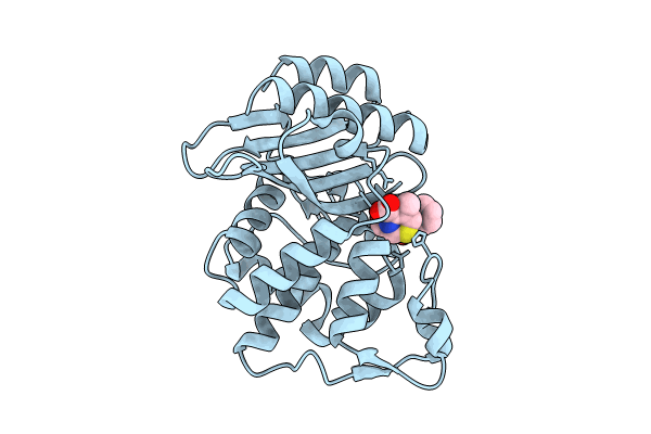 8ISP image