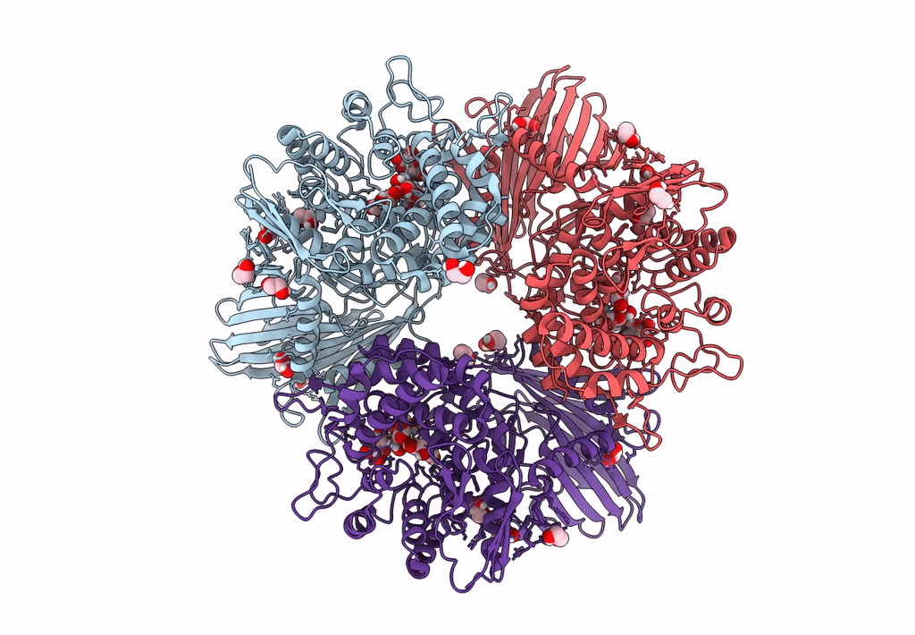 8IUC image