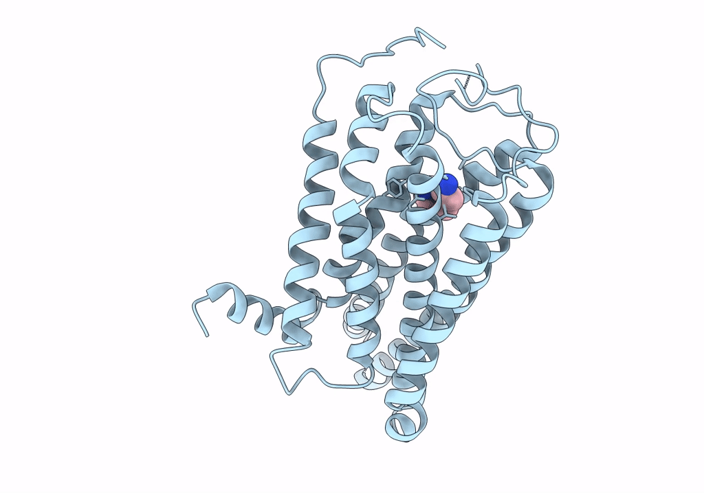 8IWE image