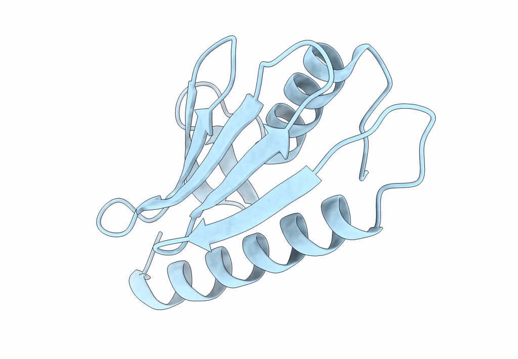 8IWI image