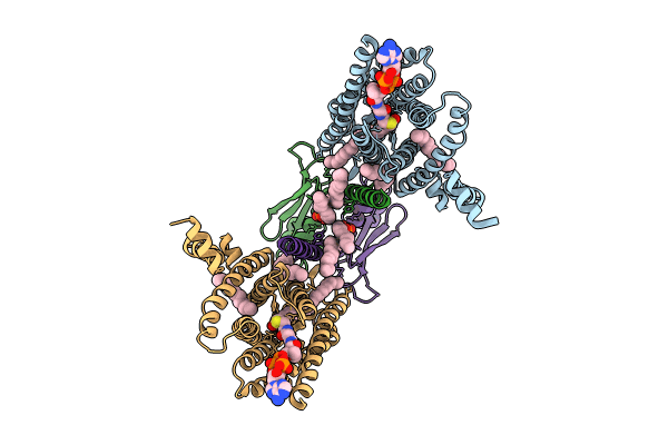 8IZD image