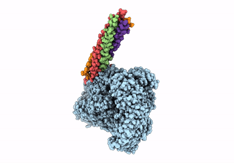 8IZL image
